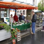 Frühlingsmarkt 2017