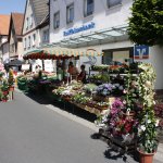 Frühjahrsmarkt 2018
