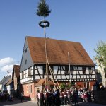 Maibaum 2018