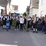 Maibaum 2018