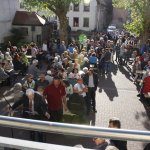 Maibaum 2018