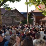Maibaum 2019